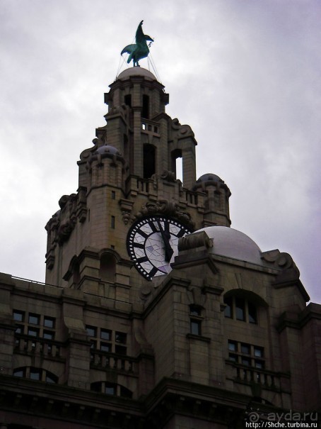 "Я помню, как все начиналось" — только я, жена и Ливерпуль