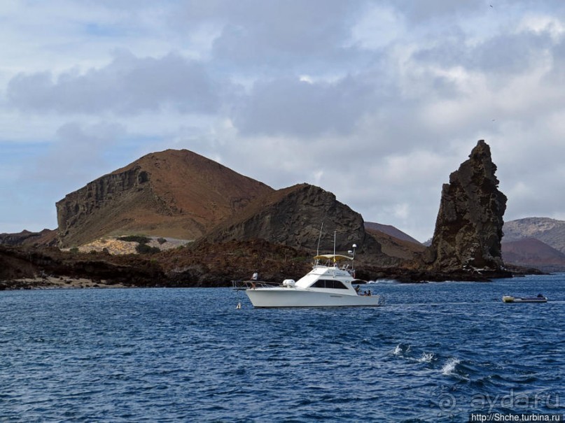 Галапагосы. На чем "ходят" по воде