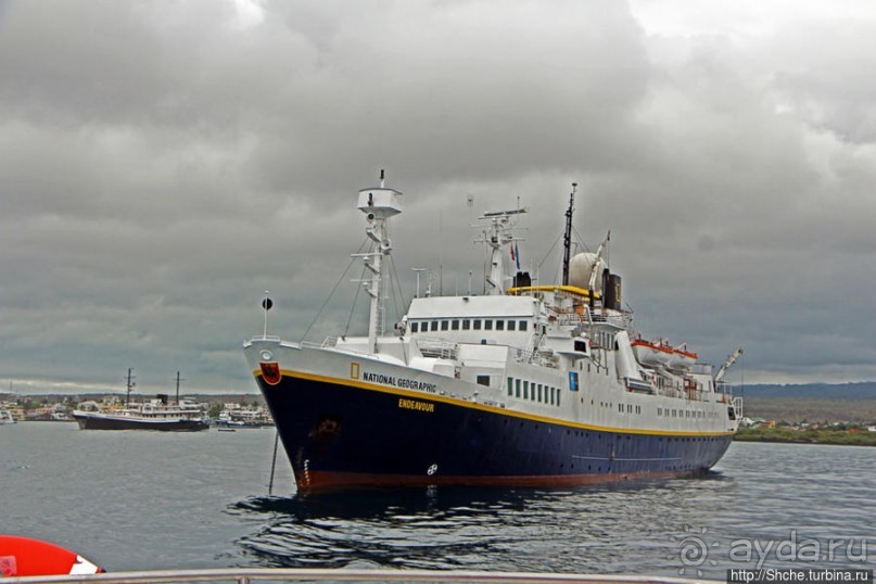 Галапагосы. На чем "ходят" по воде