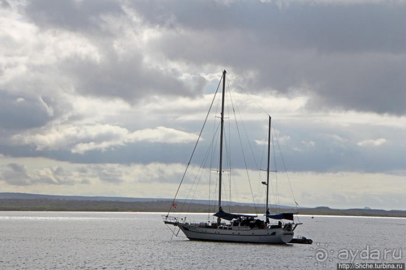 Галапагосы. На чем "ходят" по воде