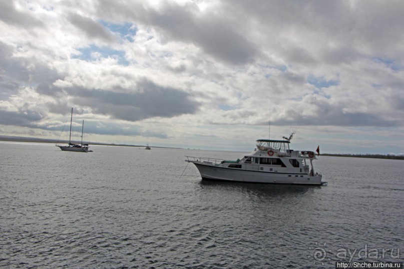 Галапагосы. На чем "ходят" по воде