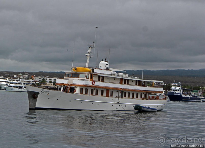 Галапагосы. На чем "ходят" по воде