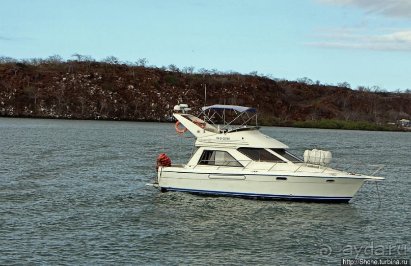 Галапагосы. На чем "ходят" по воде