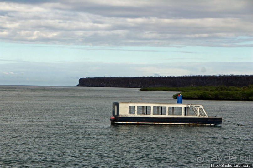 Галапагосы. На чем "ходят" по воде