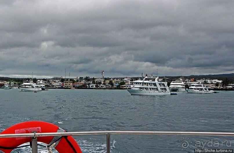 Галапагосы. На чем "ходят" по воде