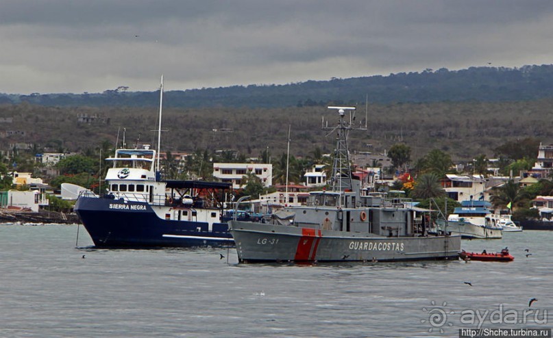 Галапагосы. На чем "ходят" по воде