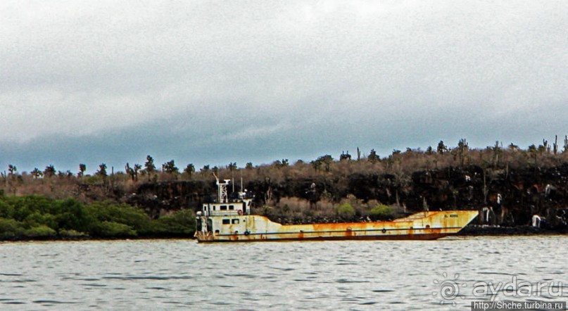 Галапагосы. На чем "ходят" по воде