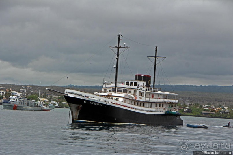 Галапагосы. На чем "ходят" по воде