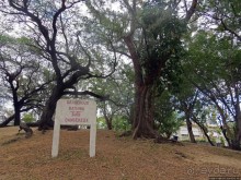 Респектабельный Тамарен