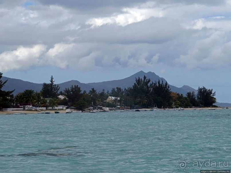 Респектабельный Тамарен