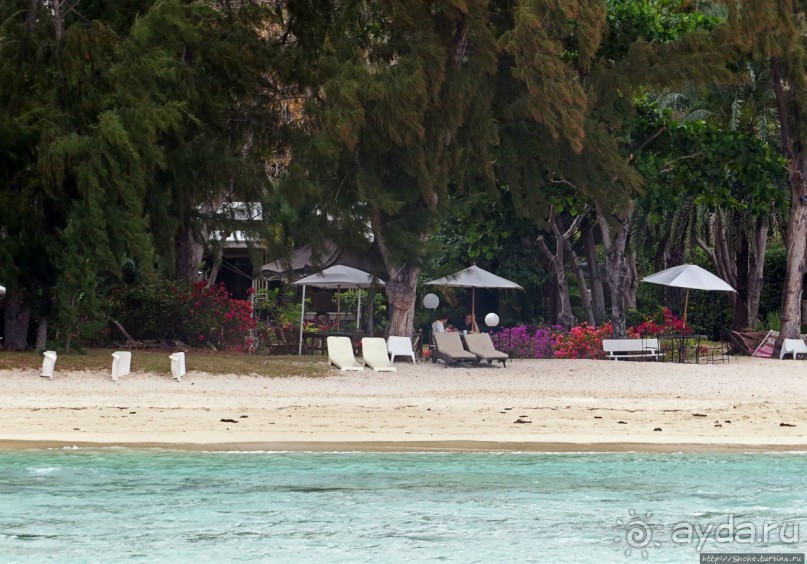 Респектабельный Тамарен