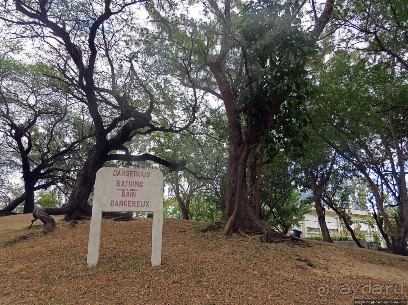 Респектабельный Тамарен