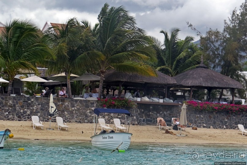 Респектабельный Тамарен