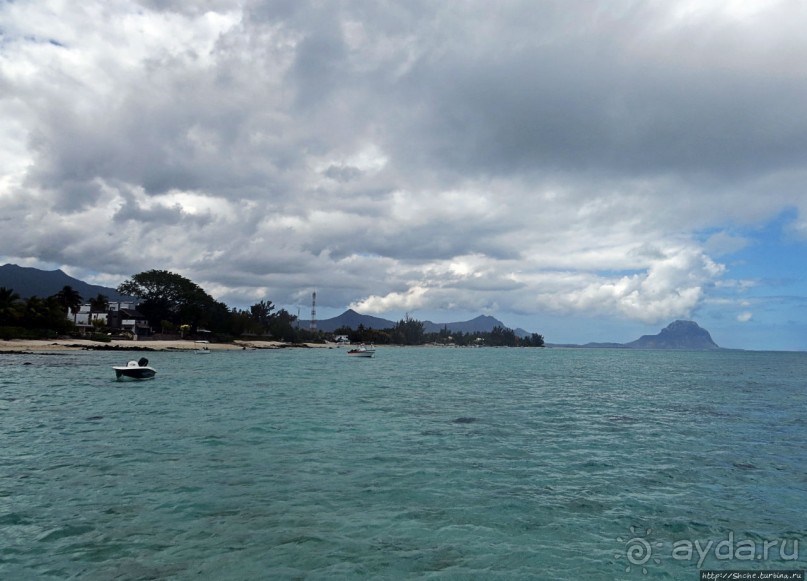 Респектабельный Тамарен