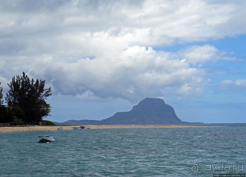Респектабельный Тамарен
