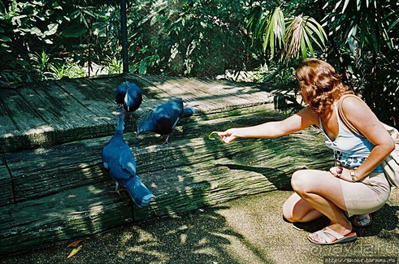 Год 2006. Знакомство с Бангкоком: Большой дворец, река, зоо