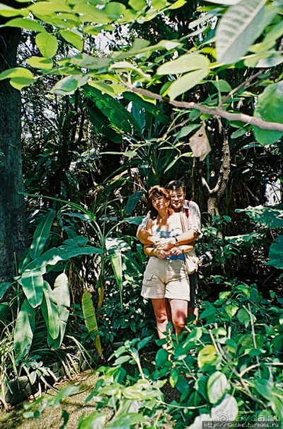 Год 2006. Знакомство с Бангкоком: Большой дворец, река, зоо