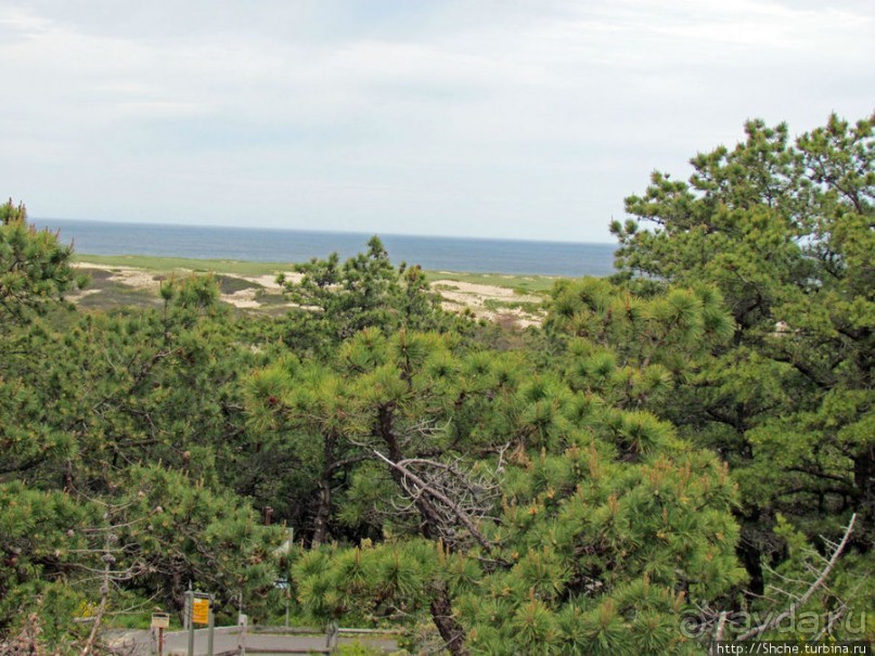 Цветущие дюны мыса Кейп-Код. Пешком по пескам