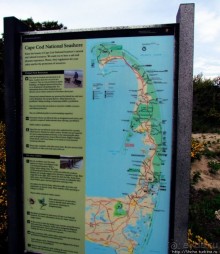 Цветущие дюны мыса Кейп-Код. Пешком по пескам