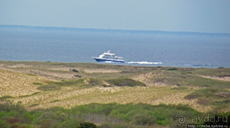 Цветущие дюны мыса Кейп-Код. Пешком по пескам