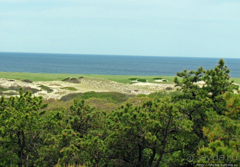 Цветущие дюны мыса Кейп-Код. Пешком по пескам
