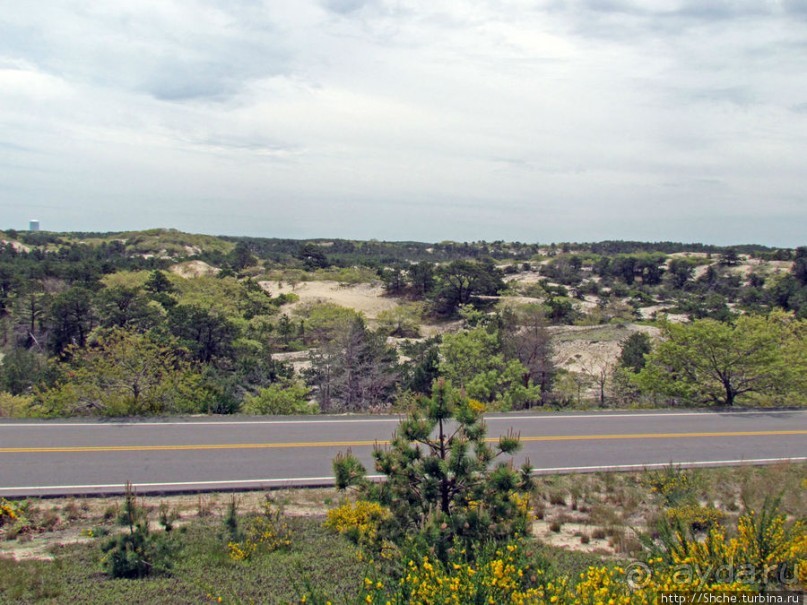Цветущие дюны мыса Кейп-Код. Пешком по пескам