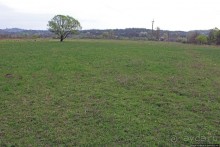 Эх, мы немного поспешили