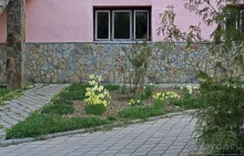 Эх, мы немного поспешили