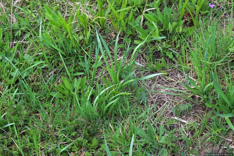 Эх, мы немного поспешили