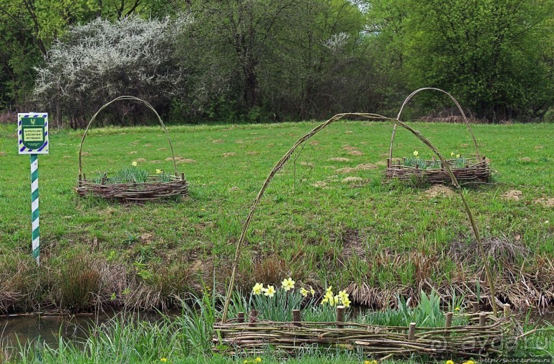 Эх, мы немного поспешили