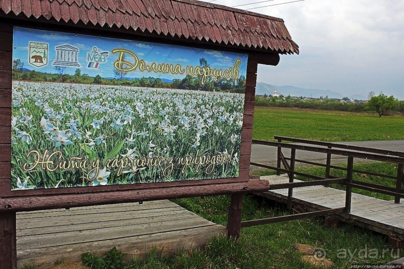 Эх, мы немного поспешили