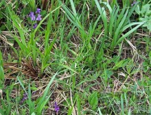 Эх, мы немного поспешили