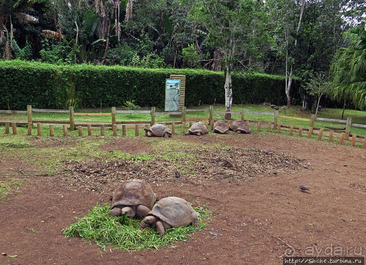 Семь цветов, но не радуга? Семицветная дюна на Маврикии