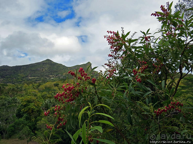 Семь цветов, но не радуга? Семицветная дюна на Маврикии