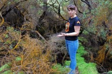 "Священные воды" Wai O Tapu