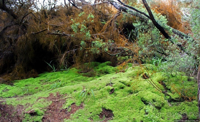 "Священные воды" Wai O Tapu