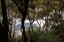 "Священные воды" Wai O Tapu
