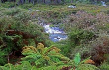 "Священные воды" Wai O Tapu