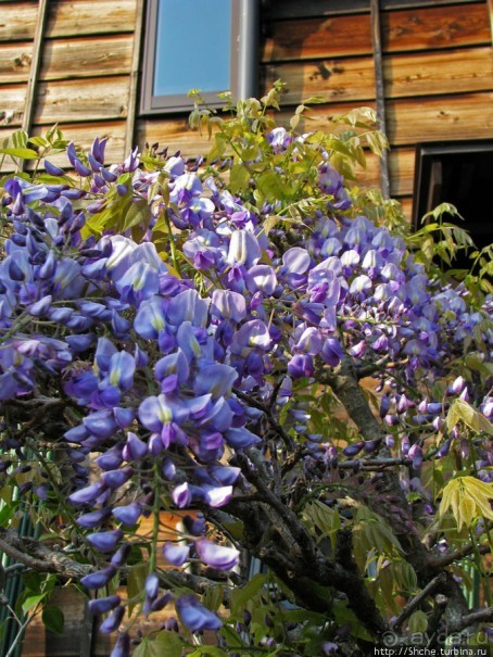 Станция старого почтового тракта — кусочек истинной Японии