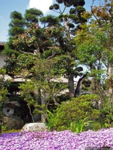 Станция старого почтового тракта — кусочек истинной Японии