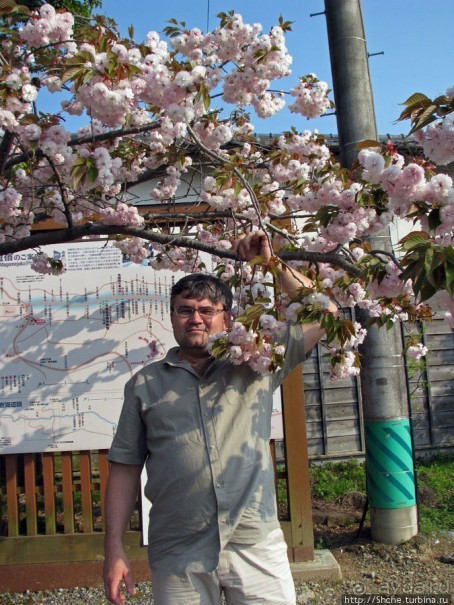 Станция старого почтового тракта — кусочек истинной Японии