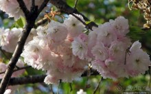 Станция старого почтового тракта — кусочек истинной Японии