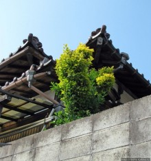 Станция старого почтового тракта — кусочек истинной Японии