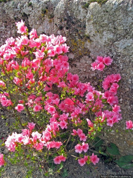 Станция старого почтового тракта — кусочек истинной Японии