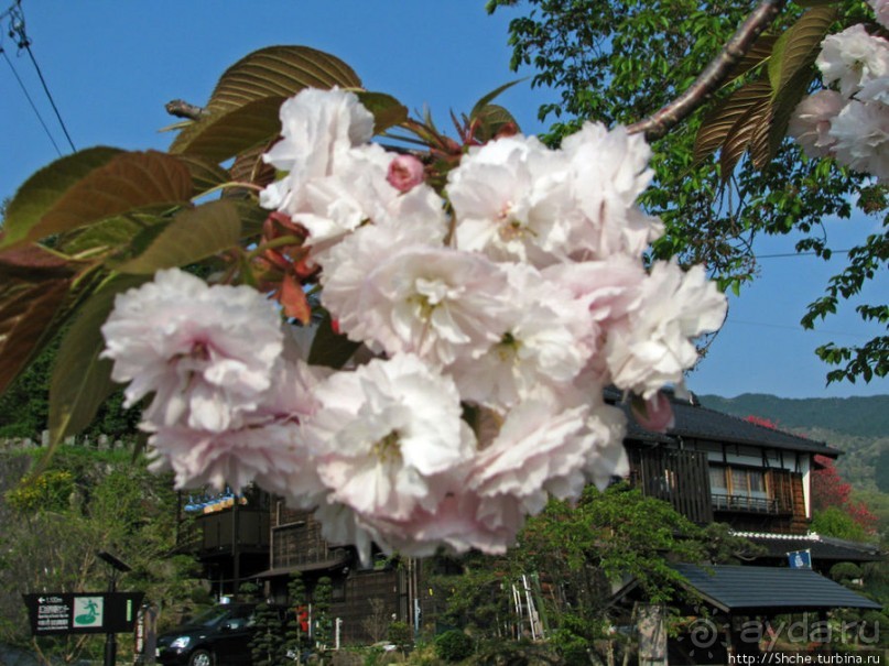 Станция старого почтового тракта — кусочек истинной Японии