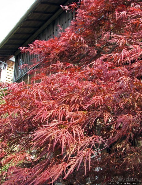 Станция старого почтового тракта — кусочек истинной Японии