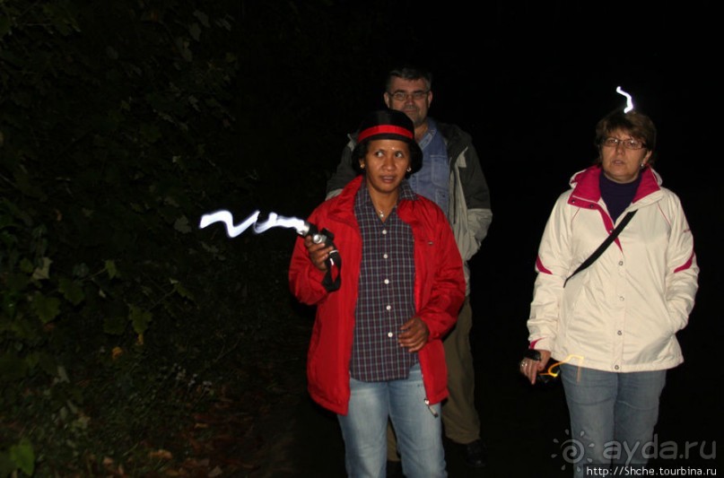 Не ходите ночью в Африку гулять...