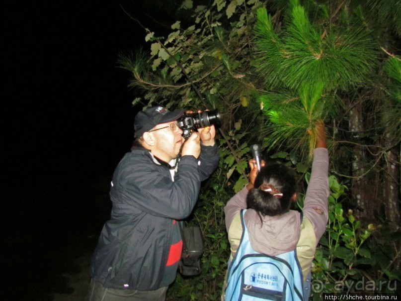 Не ходите ночью в Африку гулять...