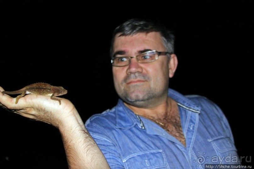 Не ходите ночью в Африку гулять...