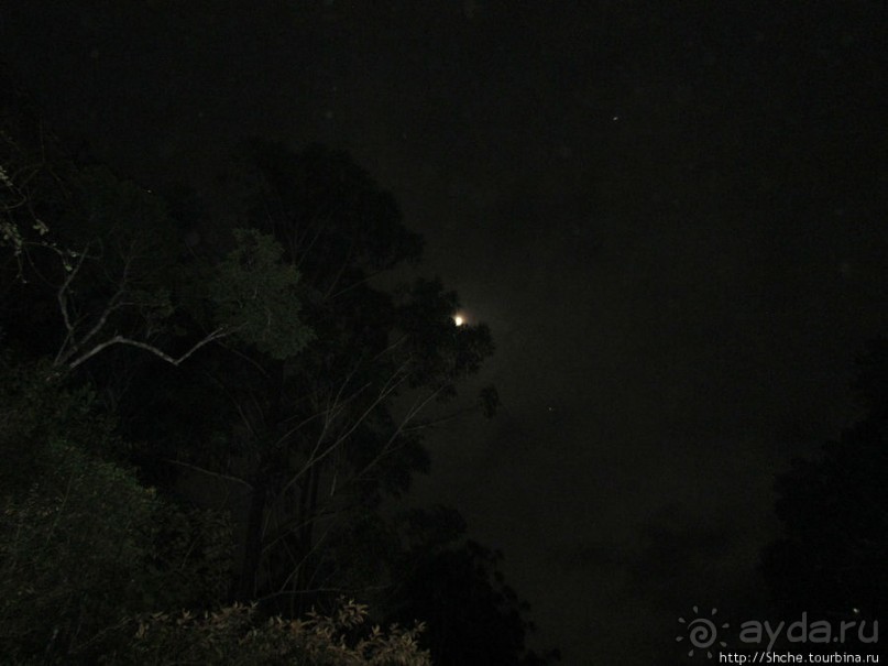 Не ходите ночью в Африку гулять...